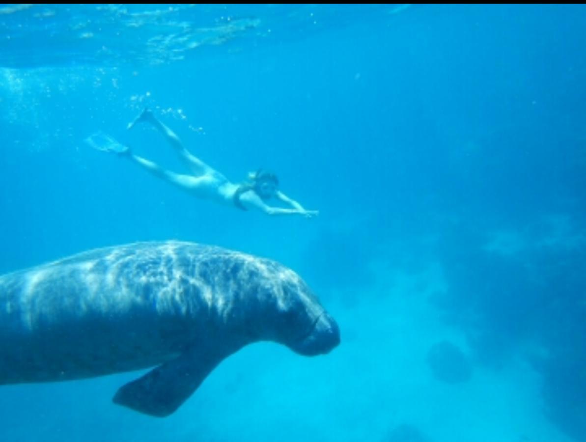 Go Slow Guesthouse Caye Caulker Luaran gambar